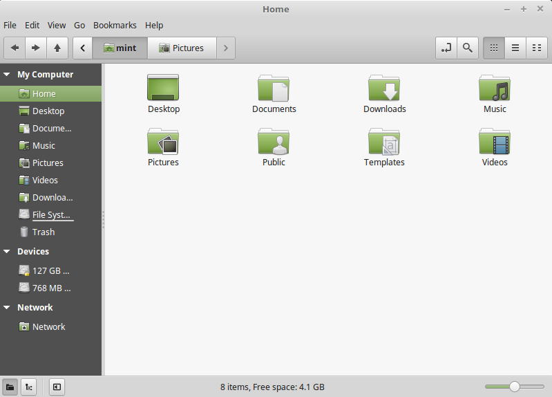 Linux Mint File Explorer Window